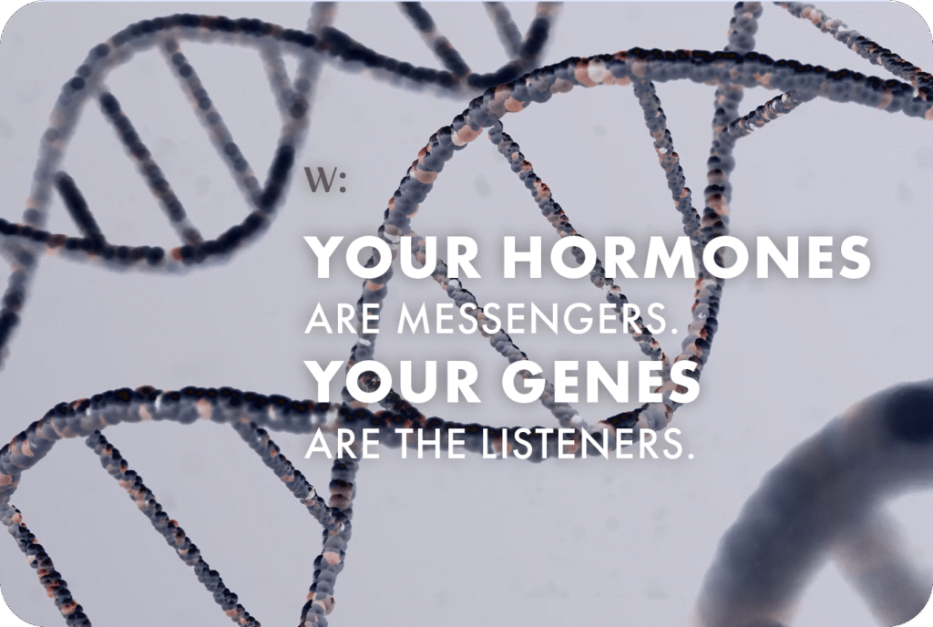 Your Hormones, Your Genes text based image