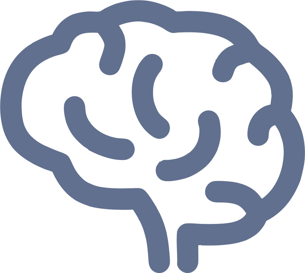 Brain